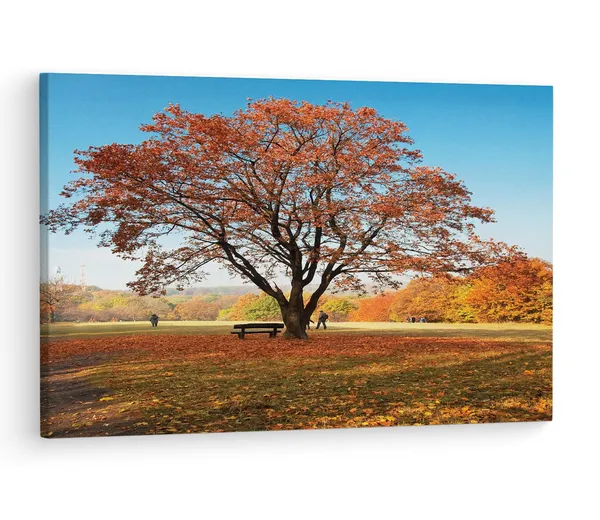 Multicolor_Abstract,_Wooden_Framed_Canvas_Paintings_|_For_Living_Room_|_Bedroom_|_Office_|_Gallery_|_Ready_Wall_Mount_Canvas_Wall_Art_Painting_|_Size_-_12_X_18In,_Ct0815