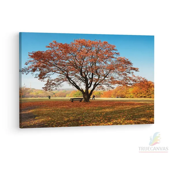 Multicolor_Abstract,_Wooden_Framed_Canvas_Paintings_|_For_Living_Room_|_Bedroom_|_Office_|_Gallery_|_Ready_Wall_Mount_Canvas_Wall_Art_Painting_|_Size_-_12_X_18In,_Ct0815