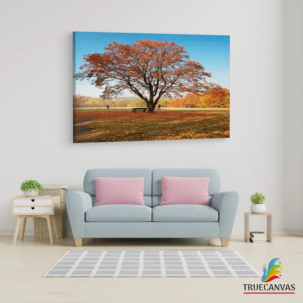 Multicolor_Abstract,_Wooden_Framed_Canvas_Paintings_|_For_Living_Room_|_Bedroom_|_Office_|_Gallery_|_Ready_Wall_Mount_Canvas_Wall_Art_Painting_|_Size_-_12_X_18In,_Ct0815