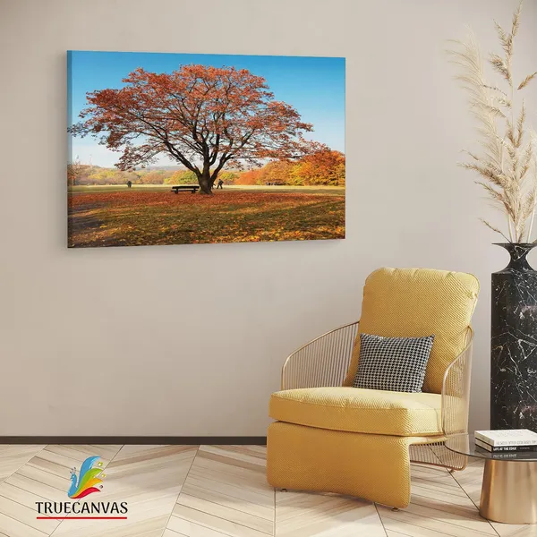 Multicolor_Abstract,_Wooden_Framed_Canvas_Paintings_|_For_Living_Room_|_Bedroom_|_Office_|_Gallery_|_Ready_Wall_Mount_Canvas_Wall_Art_Painting_|_Size_-_12_X_18In,_Ct0815