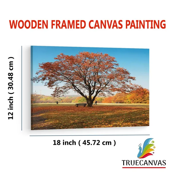 Multicolor_Abstract,_Wooden_Framed_Canvas_Paintings_|_For_Living_Room_|_Bedroom_|_Office_|_Gallery_|_Ready_Wall_Mount_Canvas_Wall_Art_Painting_|_Size_-_12_X_18In,_Ct0815