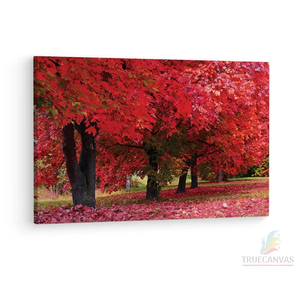 Multicolor_Maple_Tree,_Wooden_Framed_Canvas_Paintings_|_For_Living_Room_|_Bedroom_|_Office_|_Gallery_|_Ready_Wall_Mount_Canvas_Wall_Art_Painting_|_Size_-_12_X_18In,_Ct0816