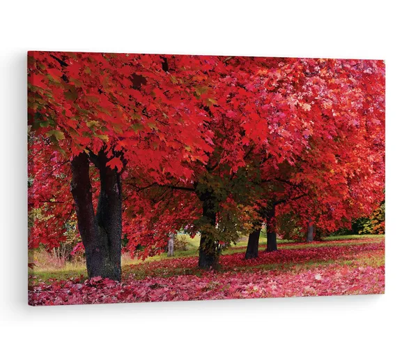 Multicolor_Maple_Tree,_Wooden_Framed_Canvas_Paintings_|_For_Living_Room_|_Bedroom_|_Office_|_Gallery_|_Ready_Wall_Mount_Canvas_Wall_Art_Painting_|_Size_-_12_X_18In,_Ct0816