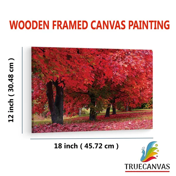 Multicolor_Maple_Tree,_Wooden_Framed_Canvas_Paintings_|_For_Living_Room_|_Bedroom_|_Office_|_Gallery_|_Ready_Wall_Mount_Canvas_Wall_Art_Painting_|_Size_-_12_X_18In,_Ct0816