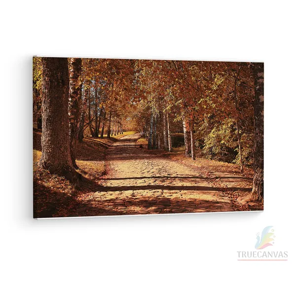 Multicolor_Octoberin_The_|_Forest,_Wooden_Framed_Canvas_Paintings_|_For_Living_Room_|_Bedroom_|_Office_|_Gallery_|_Ready_Wall_Mount_Canvas_Wall_Art_Painting_|_Size_-_12_X_18In,_Ct0817