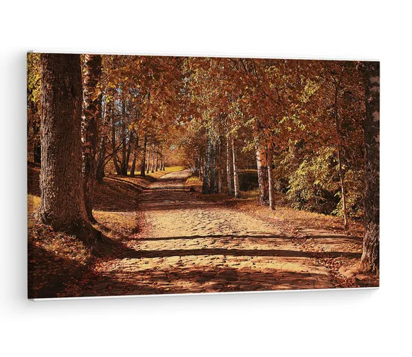 Multicolor_Octoberin_The_|_Forest,_Wooden_Framed_Canvas_Paintings_|_For_Living_Room_|_Bedroom_|_Office_|_Gallery_|_Ready_Wall_Mount_Canvas_Wall_Art_Painting_|_Size_-_12_X_18In,_Ct0817