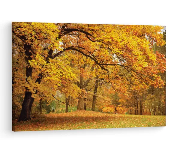 Multicolor_Abstract,_Wooden_Framed_Canvas_Paintings_|_For_Living_Room_|_Bedroom_|_Office_|_Gallery_|_Ready_Wall_Mount_Canvas_Wall_Art_Painting_|_Size_-_12_X_18In,_Ct0819