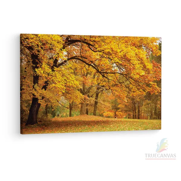 Multicolor_Abstract,_Wooden_Framed_Canvas_Paintings_|_For_Living_Room_|_Bedroom_|_Office_|_Gallery_|_Ready_Wall_Mount_Canvas_Wall_Art_Painting_|_Size_-_12_X_18In,_Ct0819