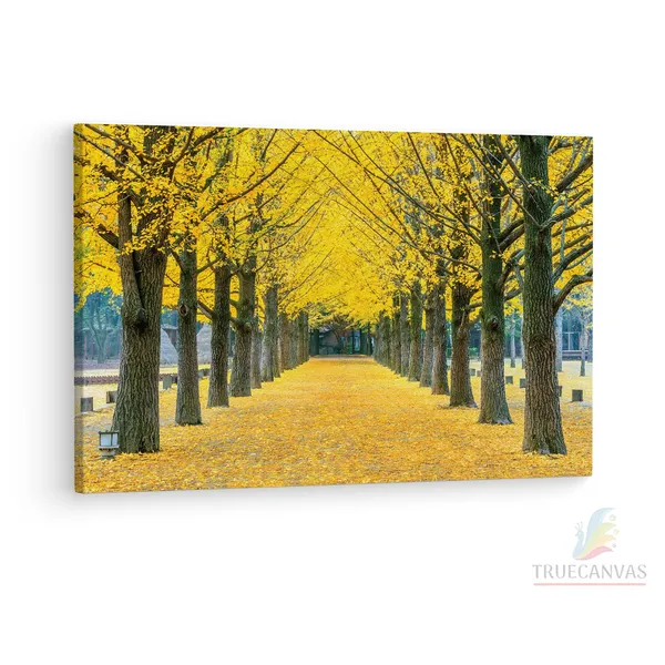Multicolor_Nami_Island,_Wooden_Framed_Canvas_Paintings_|_For_Living_Room_|_Bedroom_|_Office_|_Gallery_|_Ready_Wall_Mount_Canvas_Wall_Art_Painting_|_Size_-_12_X_18In,_Ct0821