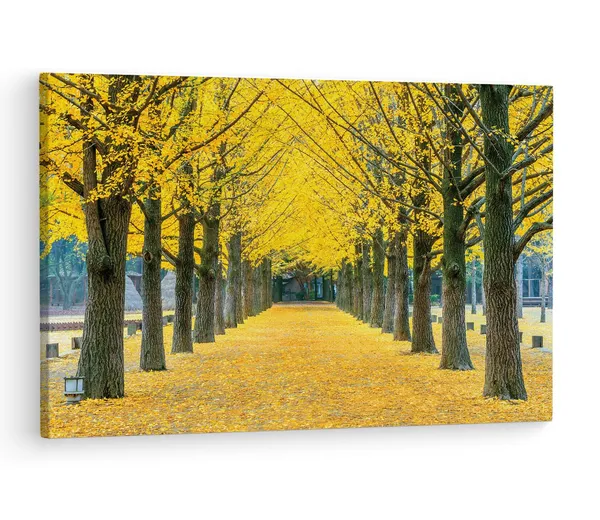 Multicolor_Nami_Island,_Wooden_Framed_Canvas_Paintings_|_For_Living_Room_|_Bedroom_|_Office_|_Gallery_|_Ready_Wall_Mount_Canvas_Wall_Art_Painting_|_Size_-_12_X_18In,_Ct0821