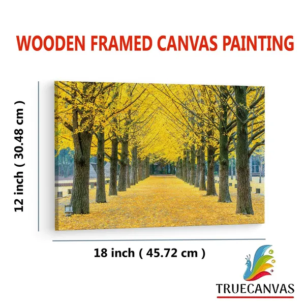Multicolor_Nami_Island,_Wooden_Framed_Canvas_Paintings_|_For_Living_Room_|_Bedroom_|_Office_|_Gallery_|_Ready_Wall_Mount_Canvas_Wall_Art_Painting_|_Size_-_12_X_18In,_Ct0821