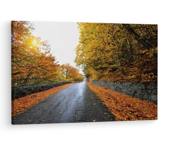Multicolor_|_Forest_Road_Yellow_Tree_With_Sun,_Wooden_Framed_Canvas_Paintings_|_For_Living_Room_|_Bedroom_|_Office_|_Gallery_|_Ready_Wall_Mount_Canvas_Wall_Art_Painting_|_Size_-_12_X_18In,_Ct0822