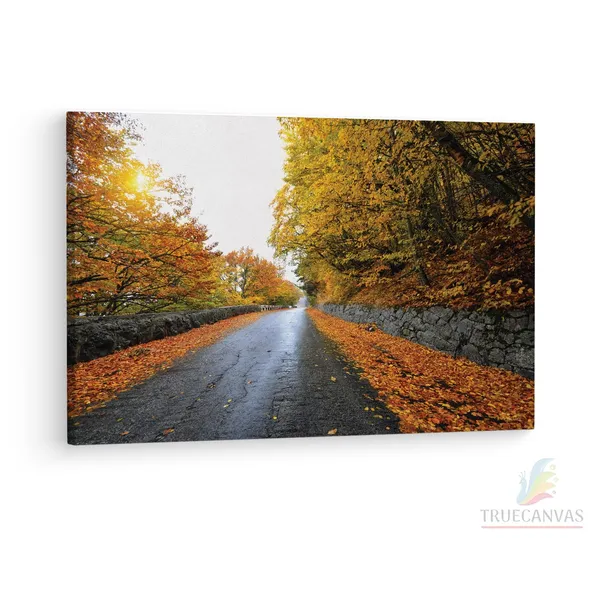 Multicolor_|_Forest_Road_Yellow_Tree_With_Sun,_Wooden_Framed_Canvas_Paintings_|_For_Living_Room_|_Bedroom_|_Office_|_Gallery_|_Ready_Wall_Mount_Canvas_Wall_Art_Painting_|_Size_-_12_X_18In,_Ct0822