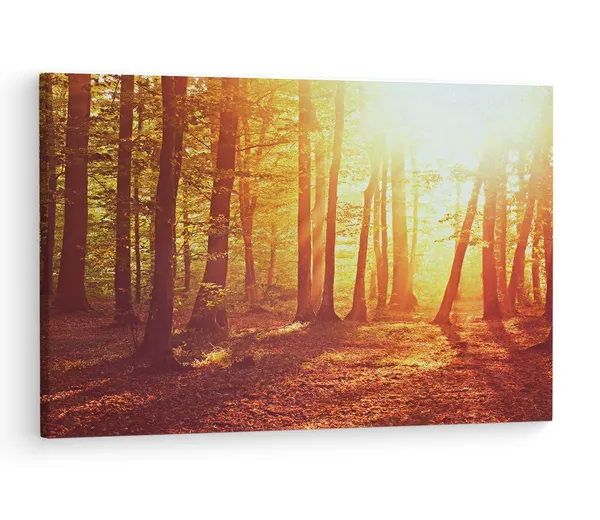 Multicolor_Nature,_|_Forest,_Fall,_Dappled,_Wooden_Framed_Canvas_Paintings_|_For_Living_Room_|_Bedroom_|_Office_|_Gallery_|_Ready_Wall_Mount_Canvas_Wall_Art_Painting_|_Size_-_12_X_18In,_Ct0824
