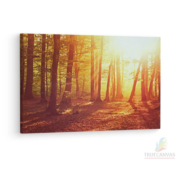 Multicolor_Nature,_|_Forest,_Fall,_Dappled,_Wooden_Framed_Canvas_Paintings_|_For_Living_Room_|_Bedroom_|_Office_|_Gallery_|_Ready_Wall_Mount_Canvas_Wall_Art_Painting_|_Size_-_12_X_18In,_Ct0824
