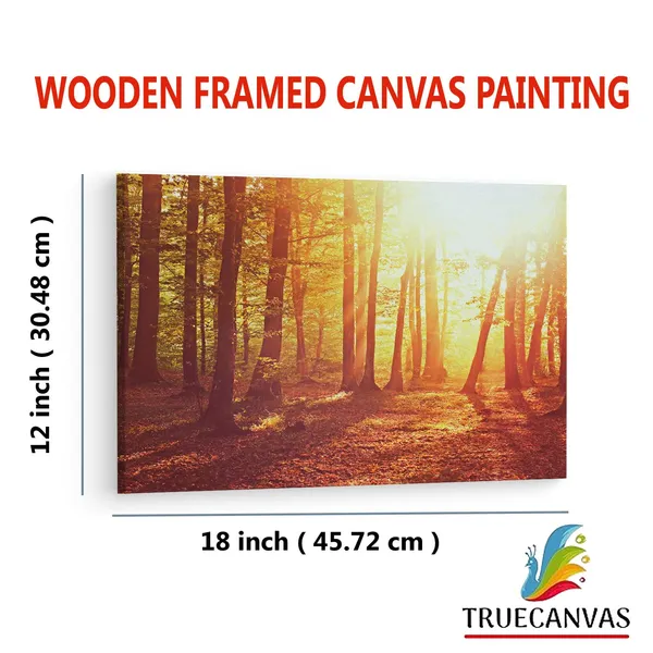 Multicolor_Nature,_|_Forest,_Fall,_Dappled,_Wooden_Framed_Canvas_Paintings_|_For_Living_Room_|_Bedroom_|_Office_|_Gallery_|_Ready_Wall_Mount_Canvas_Wall_Art_Painting_|_Size_-_12_X_18In,_Ct0824