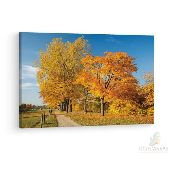 Multicolor_Autumn_Tree_Park_Colorful,_Wooden_Framed_Canvas_Paintings_|_For_Living_Room_|_Bedroom_|_Office_|_Gallery_|_Ready_Wall_Mount_Canvas_Wall_Art_Painting_|_Size_-_12_X_18In,_Ct0827