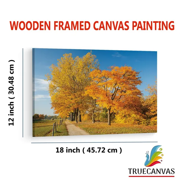 Multicolor_Autumn_Tree_Park_Colorful,_Wooden_Framed_Canvas_Paintings_|_For_Living_Room_|_Bedroom_|_Office_|_Gallery_|_Ready_Wall_Mount_Canvas_Wall_Art_Painting_|_Size_-_12_X_18In,_Ct0827
