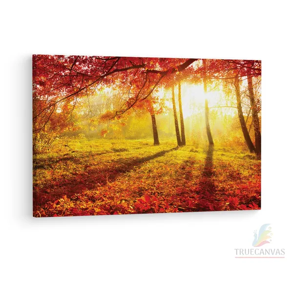 Multicolor_Abstract,_Wooden_Framed_Canvas_Paintings_|_For_Living_Room_|_Bedroom_|_Office_|_Gallery_|_Ready_Wall_Mount_Canvas_Wall_Art_Painting_|_Size_-_12_X_18In,_Ct0828