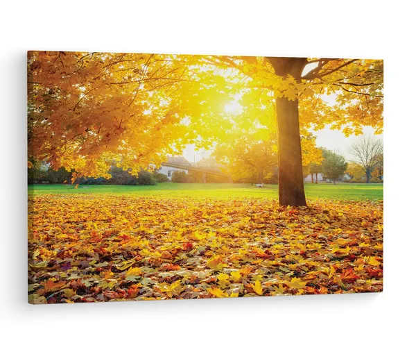 Multicolor_Sunny_Autumn_Foliage_Logo,_Wooden_Framed_Canvas_Paintings_|_For_Living_Room_|_Bedroom_|_Office_|_Gallery_|_Ready_Wall_Mount_Canvas_Wall_Art_Painting_|_Size_-_12_X_18In,_Ct0829