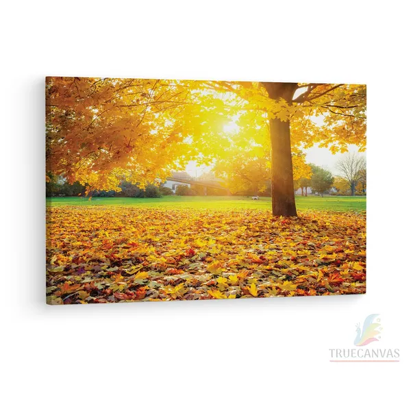 Multicolor_Sunny_Autumn_Foliage_Logo,_Wooden_Framed_Canvas_Paintings_|_For_Living_Room_|_Bedroom_|_Office_|_Gallery_|_Ready_Wall_Mount_Canvas_Wall_Art_Painting_|_Size_-_12_X_18In,_Ct0830
