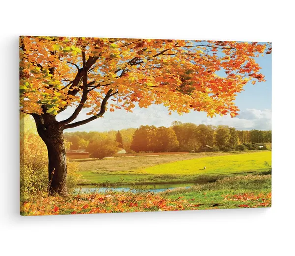 Multicolor_A_Beautiful_View_Of_Colorful,_Wooden_Framed_Canvas_Paintings_|_For_Living_Room_|_Bedroom_|_Office_|_Gallery_|_Ready_Wall_Mount_Canvas_Wall_Art_Painting_|_Size_-_12_X_18In,_Ct0832