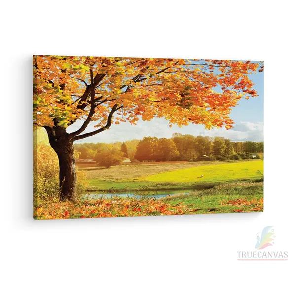 Multicolor_A_Beautiful_View_Of_Colorful,_Wooden_Framed_Canvas_Paintings_|_For_Living_Room_|_Bedroom_|_Office_|_Gallery_|_Ready_Wall_Mount_Canvas_Wall_Art_Painting_|_Size_-_12_X_18In,_Ct0832