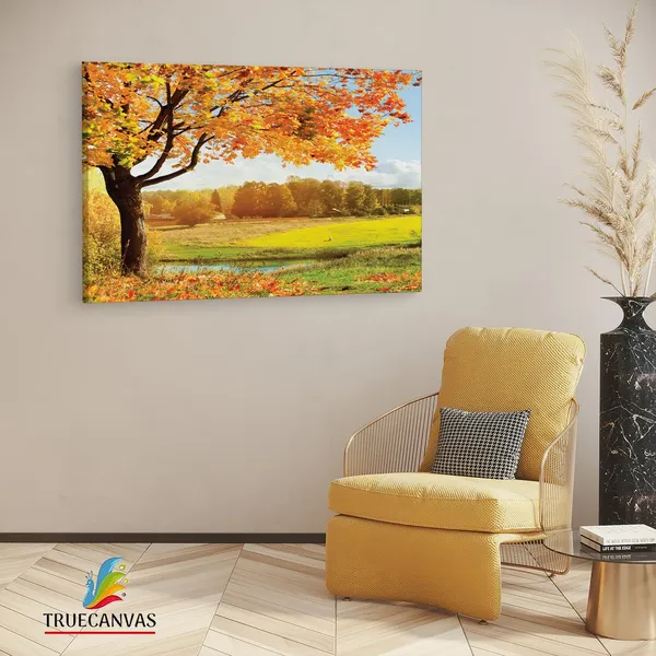 Multicolor_A_Beautiful_View_Of_Colorful,_Wooden_Framed_Canvas_Paintings_|_For_Living_Room_|_Bedroom_|_Office_|_Gallery_|_Ready_Wall_Mount_Canvas_Wall_Art_Painting_|_Size_-_12_X_18In,_Ct0832