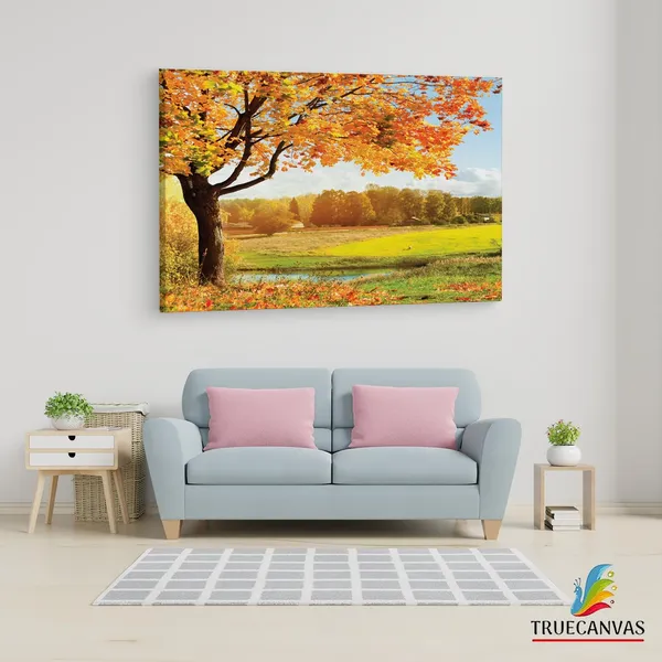 Multicolor_A_Beautiful_View_Of_Colorful,_Wooden_Framed_Canvas_Paintings_|_For_Living_Room_|_Bedroom_|_Office_|_Gallery_|_Ready_Wall_Mount_Canvas_Wall_Art_Painting_|_Size_-_12_X_18In,_Ct0832