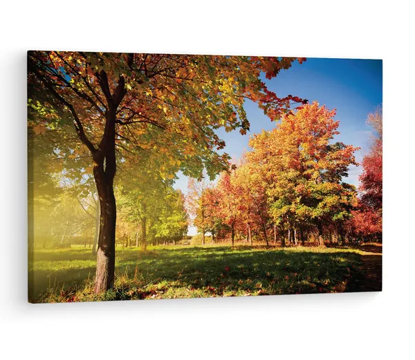 Multicolor_Autumn_Tree,_Wooden_Framed_Canvas_Paintings_|_For_Living_Room_|_Bedroom_|_Office_|_Gallery_|_Ready_Wall_Mount_Canvas_Wall_Art_Painting_|_Size_-_12_X_18In,_Ct0833