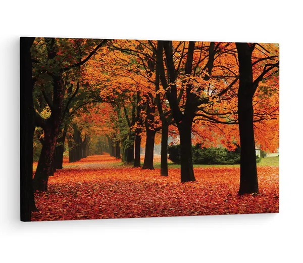 Multicolor_Autumn,_Leaves,_Wooden_Framed_Canvas_Paintings_|_For_Living_Room_|_Bedroom_|_Office_|_Gallery_|_Ready_Wall_Mount_Canvas_Wall_Art_Painting_|_Size_-_12_X_18In,_Ct0835