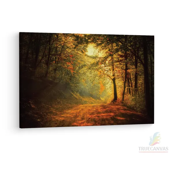 Multicolor_Riserva_Naturale_Orientata,_Wooden_Framed_Canvas_Paintings_|_For_Living_Room_|_Bedroom_|_Office_|_Gallery_|_Ready_Wall_Mount_Canvas_Wall_Art_Painting_|_Size_-_12_X_18In,_Ct0836
