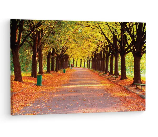 Multicolor_Autumn_In_Evening_Park,_Wooden_Framed_Canvas_Paintings_|_For_Living_Room_|_Bedroom_|_Office_|_Gallery_|_Ready_Wall_Mount_Canvas_Wall_Art_Painting_|_Size_-_12_X_18In,_Ct0837
