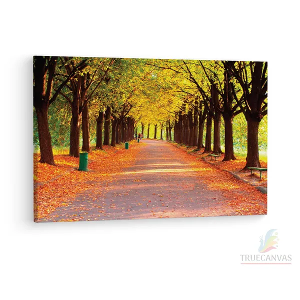 Multicolor_Autumn_In_Evening_Park,_Wooden_Framed_Canvas_Paintings_|_For_Living_Room_|_Bedroom_|_Office_|_Gallery_|_Ready_Wall_Mount_Canvas_Wall_Art_Painting_|_Size_-_12_X_18In,_Ct0837