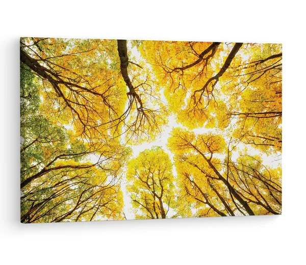 Multicolor_Abstract,_Wooden_Framed_Canvas_Paintings_|_For_Living_Room_|_Bedroom_|_Office_|_Gallery_|_Ready_Wall_Mount_Canvas_Wall_Art_Painting_|_Size_-_12_X_18In,_Ct0841