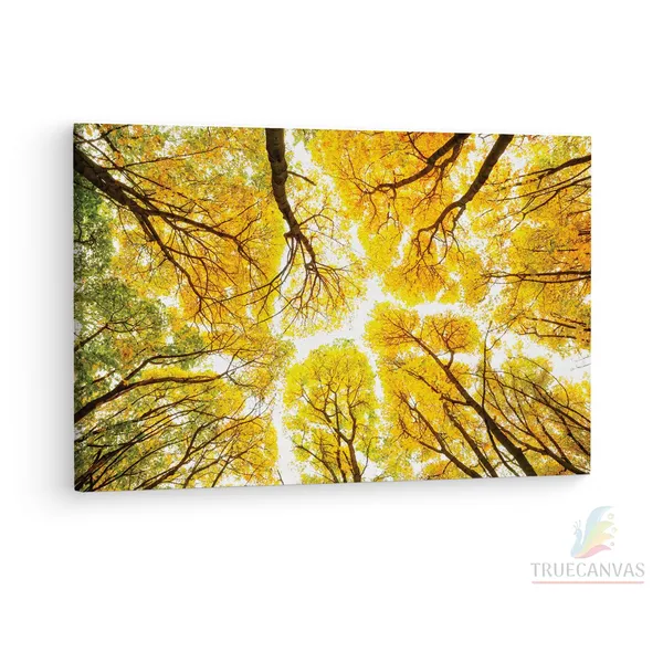 Multicolor_Abstract,_Wooden_Framed_Canvas_Paintings_|_For_Living_Room_|_Bedroom_|_Office_|_Gallery_|_Ready_Wall_Mount_Canvas_Wall_Art_Painting_|_Size_-_12_X_18In,_Ct0841