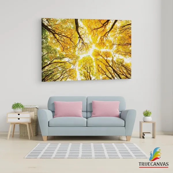 Multicolor_Abstract,_Wooden_Framed_Canvas_Paintings_|_For_Living_Room_|_Bedroom_|_Office_|_Gallery_|_Ready_Wall_Mount_Canvas_Wall_Art_Painting_|_Size_-_12_X_18In,_Ct0841