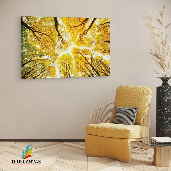 Multicolor_Abstract,_Wooden_Framed_Canvas_Paintings_|_For_Living_Room_|_Bedroom_|_Office_|_Gallery_|_Ready_Wall_Mount_Canvas_Wall_Art_Painting_|_Size_-_12_X_18In,_Ct0841