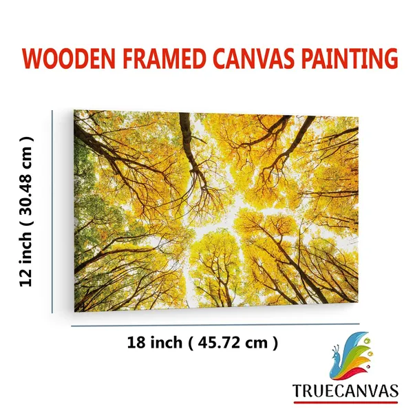 Multicolor_Abstract,_Wooden_Framed_Canvas_Paintings_|_For_Living_Room_|_Bedroom_|_Office_|_Gallery_|_Ready_Wall_Mount_Canvas_Wall_Art_Painting_|_Size_-_12_X_18In,_Ct0841