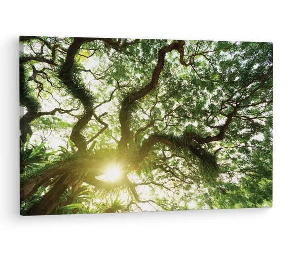 Multicolor_Abstract,_Wooden_Framed_Canvas_Paintings_|_For_Living_Room_|_Bedroom_|_Office_|_Gallery_|_Ready_Wall_Mount_Canvas_Wall_Art_Painting_|_Size_-_12_X_18In,_Ct0842
