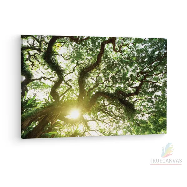 Multicolor_Abstract,_Wooden_Framed_Canvas_Paintings_|_For_Living_Room_|_Bedroom_|_Office_|_Gallery_|_Ready_Wall_Mount_Canvas_Wall_Art_Painting_|_Size_-_12_X_18In,_Ct0842