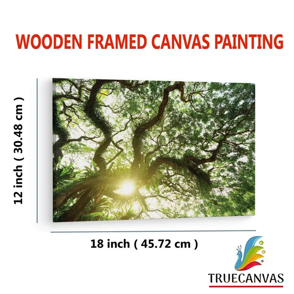 Multicolor_Abstract,_Wooden_Framed_Canvas_Paintings_|_For_Living_Room_|_Bedroom_|_Office_|_Gallery_|_Ready_Wall_Mount_Canvas_Wall_Art_Painting_|_Size_-_12_X_18In,_Ct0842