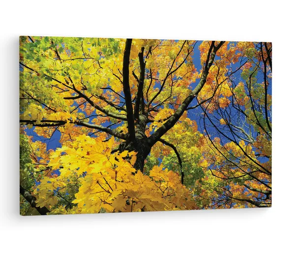 Multicolor_Abstract,_Wooden_Framed_Canvas_Paintings_|_For_Living_Room_|_Bedroom_|_Office_|_Gallery_|_Ready_Wall_Mount_Canvas_Wall_Art_Painting_|_Size_-_12_X_18In,_Ct0843
