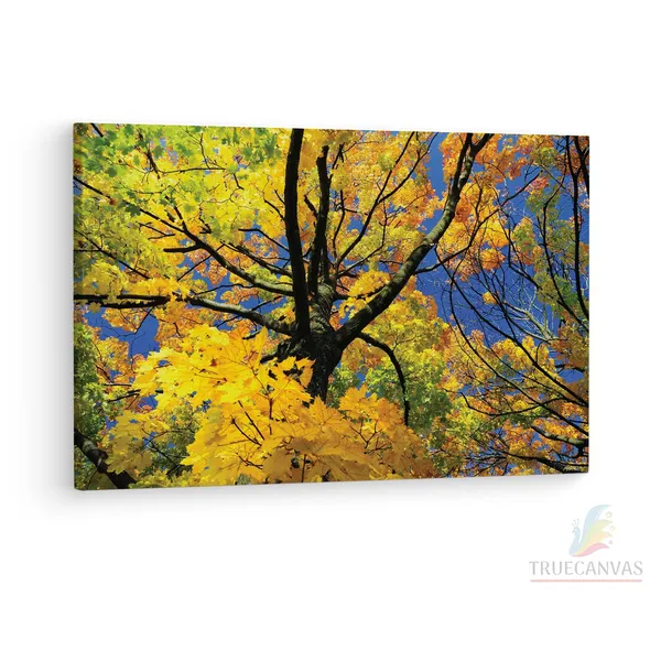 Multicolor_Abstract,_Wooden_Framed_Canvas_Paintings_|_For_Living_Room_|_Bedroom_|_Office_|_Gallery_|_Ready_Wall_Mount_Canvas_Wall_Art_Painting_|_Size_-_12_X_18In,_Ct0843