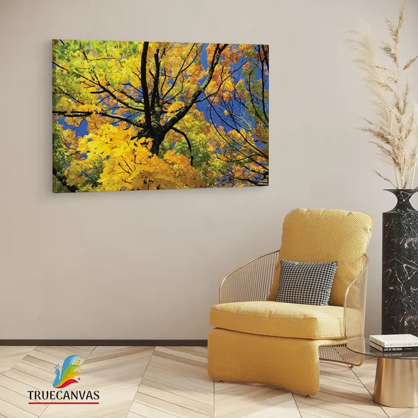 Multicolor_Abstract,_Wooden_Framed_Canvas_Paintings_|_For_Living_Room_|_Bedroom_|_Office_|_Gallery_|_Ready_Wall_Mount_Canvas_Wall_Art_Painting_|_Size_-_12_X_18In,_Ct0843