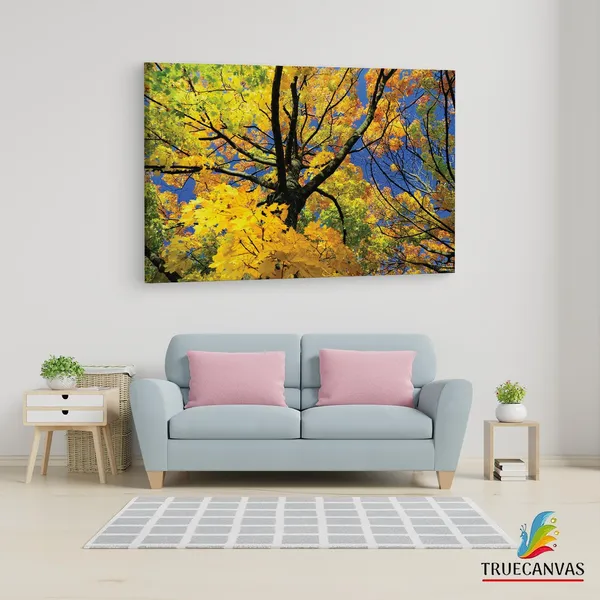 Multicolor_Abstract,_Wooden_Framed_Canvas_Paintings_|_For_Living_Room_|_Bedroom_|_Office_|_Gallery_|_Ready_Wall_Mount_Canvas_Wall_Art_Painting_|_Size_-_12_X_18In,_Ct0843