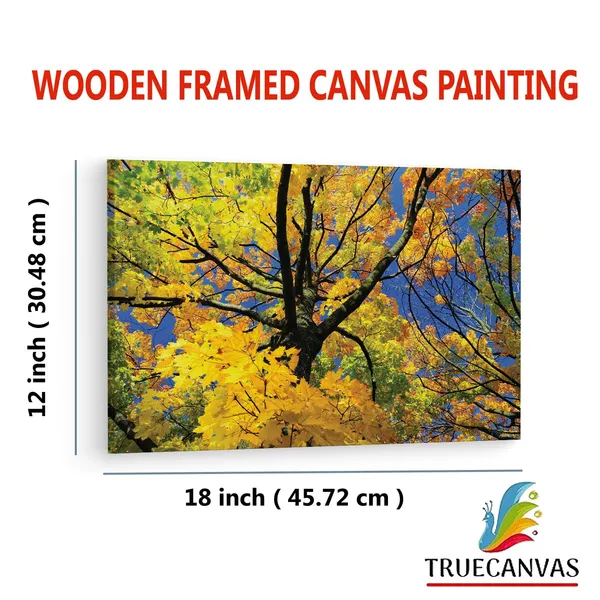 Multicolor_Abstract,_Wooden_Framed_Canvas_Paintings_|_For_Living_Room_|_Bedroom_|_Office_|_Gallery_|_Ready_Wall_Mount_Canvas_Wall_Art_Painting_|_Size_-_12_X_18In,_Ct0843