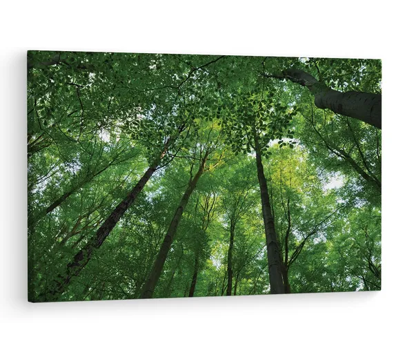 Multicolor_Abstract,_Wooden_Framed_Canvas_Paintings_|_For_Living_Room_|_Bedroom_|_Office_|_Gallery_|_Ready_Wall_Mount_Canvas_Wall_Art_Painting_|_Size_-_12_X_18In,_Ct0844