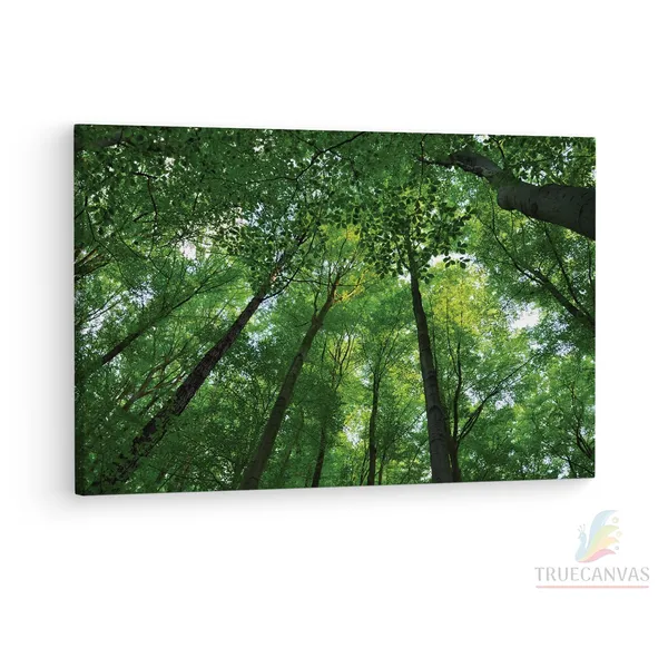 Multicolor_Abstract,_Wooden_Framed_Canvas_Paintings_|_For_Living_Room_|_Bedroom_|_Office_|_Gallery_|_Ready_Wall_Mount_Canvas_Wall_Art_Painting_|_Size_-_12_X_18In,_Ct0844