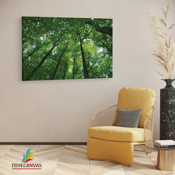 Multicolor_Abstract,_Wooden_Framed_Canvas_Paintings_|_For_Living_Room_|_Bedroom_|_Office_|_Gallery_|_Ready_Wall_Mount_Canvas_Wall_Art_Painting_|_Size_-_12_X_18In,_Ct0844
